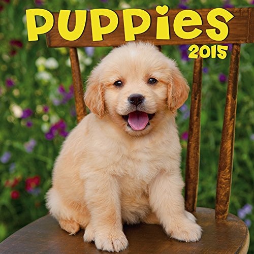 Puppies 2015