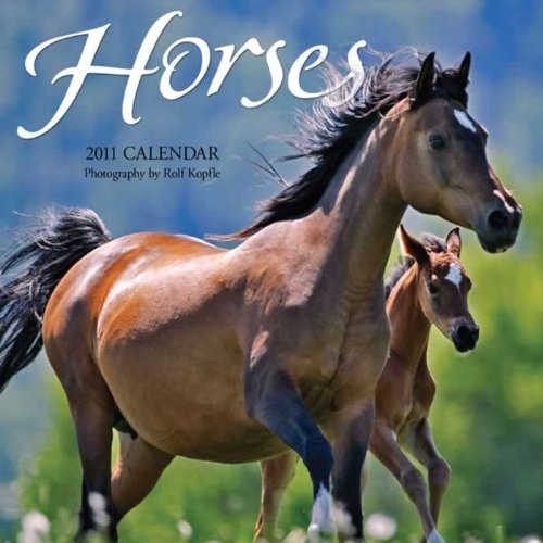 Horses - Mini 2011 Calendar