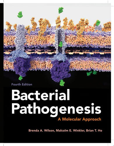 Bacterial Pathogenesis A Molecular Approach