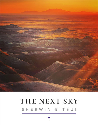 The next sky