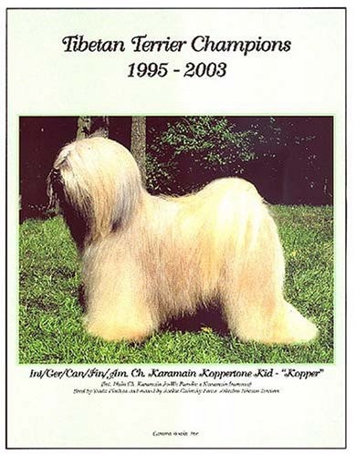Tibetan Terrier Champions, 1988-1994