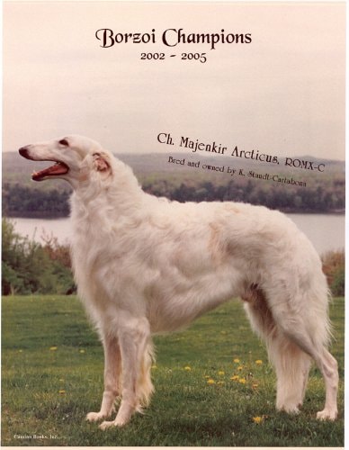 Borzoi Champions, 2002-2005