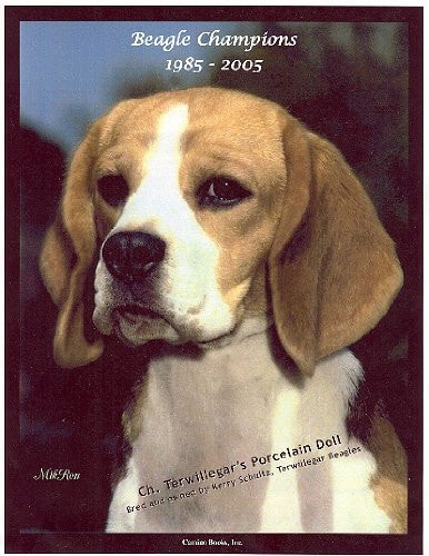 Beagle Champions, 1985-2005