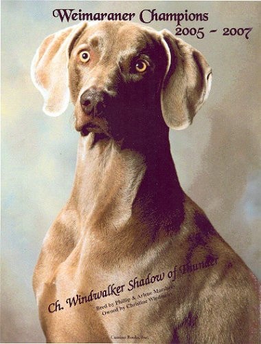 Weimaraner Champions, 2005-2007