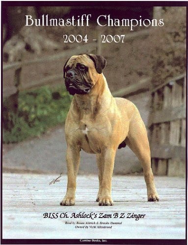 Bullmastiff Champions, 2004-2007
