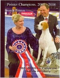 Pointer Champions, 2005-2008