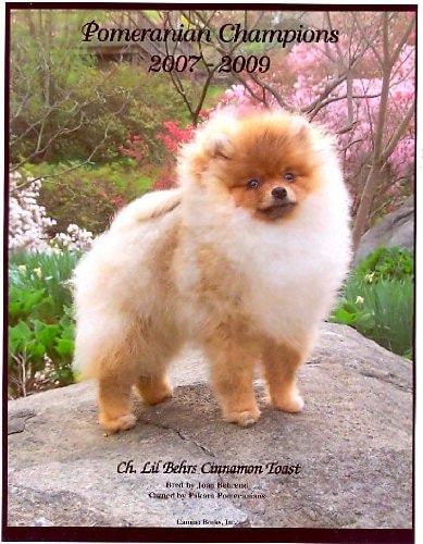 Pomeranian Champions, 2007-2009