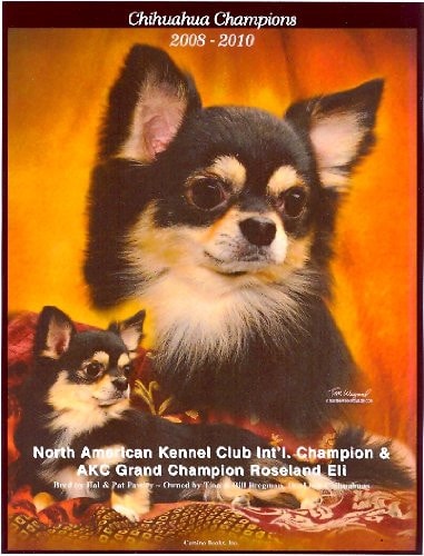 Chihuahua Champions, 2008-2010