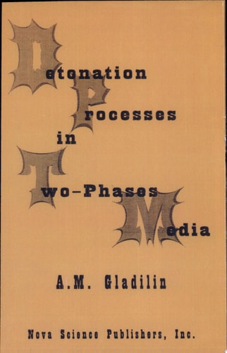 Detonation Processes in Two-phases Media