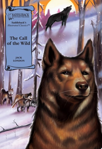 Edition published by Saddleback Educational Publishing