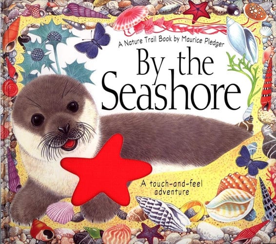 By the Seashore A Touch-and-Feel Adventure
