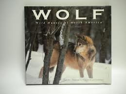 Wolf: Wild Hunter of North America