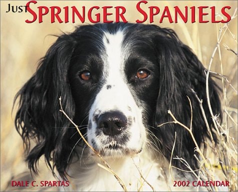 Just Springer Spaniels 2002 Calendar