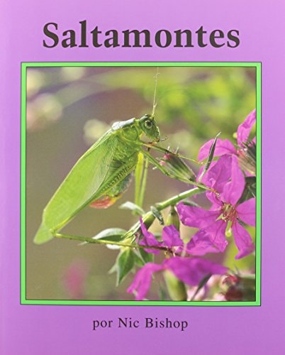 Saltamontes