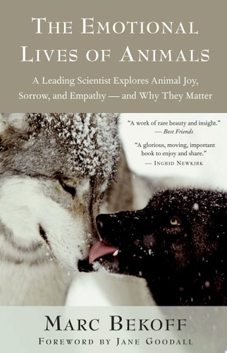 Edition published by New World Library