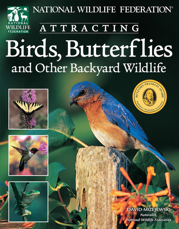 Attracting birds, butterflies, and other backyard wildlife