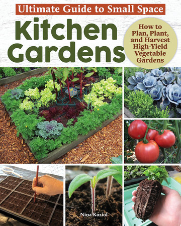 Ultimate guide small space kitchen gardens