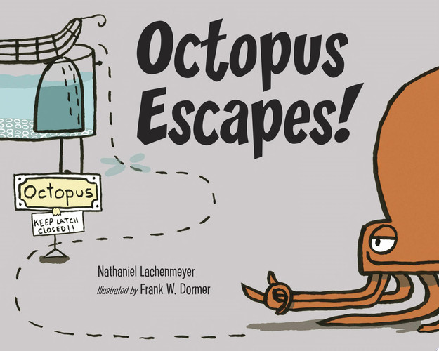 Octopus escapes!