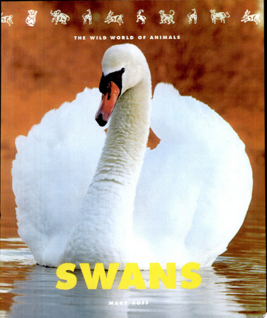 Swans