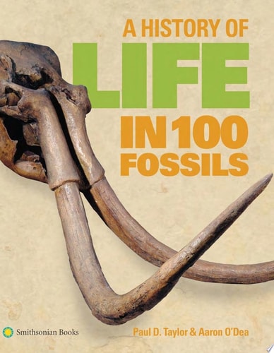 A History of Life in 100 Fossils