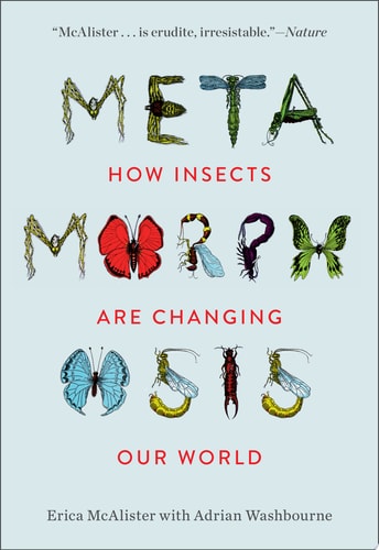 Metamorphosis How Insects Are Changing Our World
