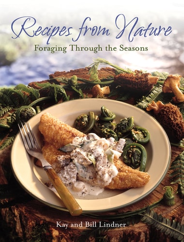 Recipes From Nature Foraging Through the Seasons