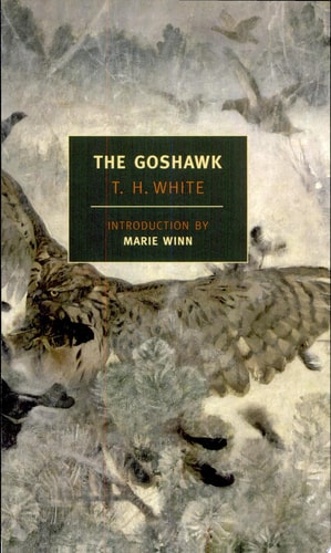 The Goshawk