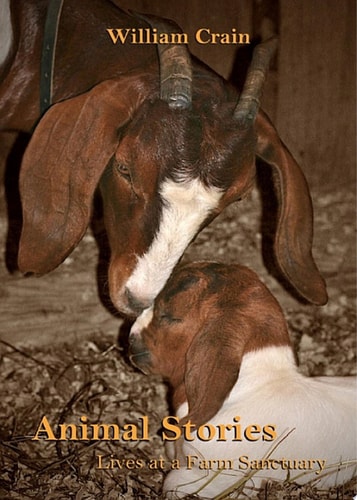 Animal Stories Lives at a Farm Sanctuary