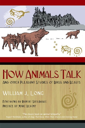 How Animals Talk And Other Pleasant Studies of Birds and Beasts