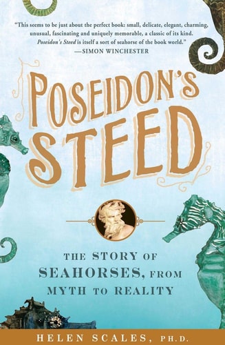 Poseidon's Steed The Story of Seahorses, From Myth to Reality