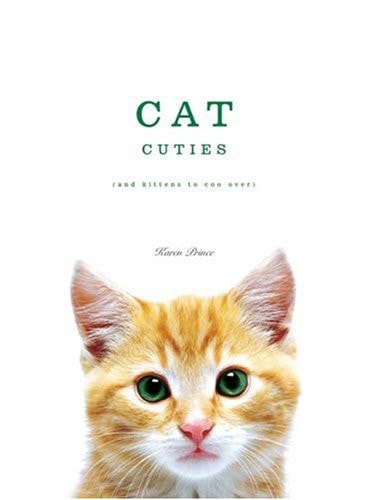 Cat Cuties And Kittens to Coo Over