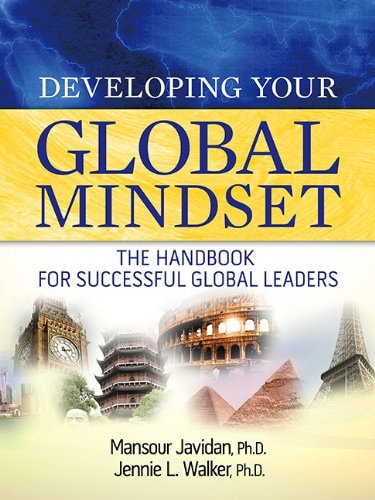 Developing Your Global Mindset The Handbook for Successful Global Leaders