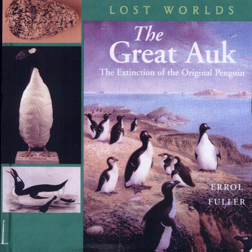 The Great Auk The Extinction of the Original Penguin