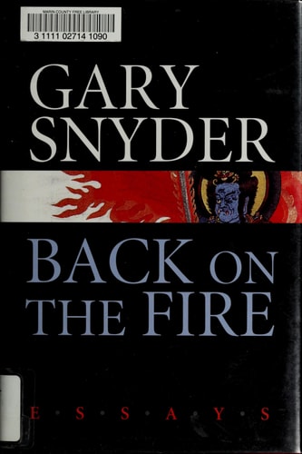 Back on the Fire: Essays