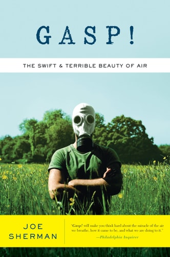 Gasp! The Swift and Terrible Beauty of Air