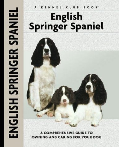 English Springer Spaniel