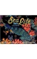 Sea Life 2011 Calendar