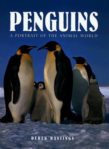 Penguins A Portrait of the Animal World