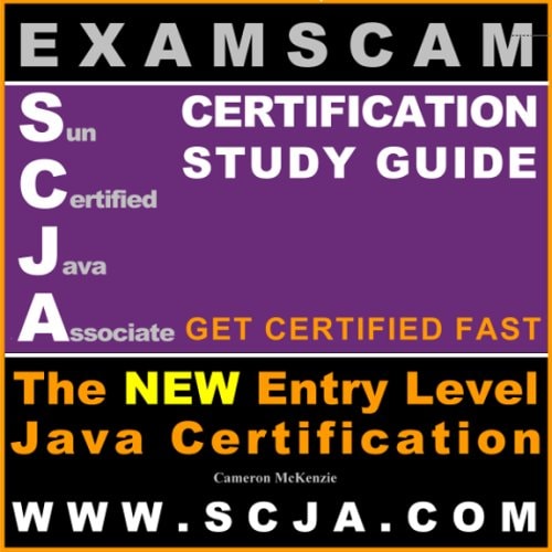 ExamScam SCJA Sun Certified Java Associate Certification Guide for Exam CX-310-019