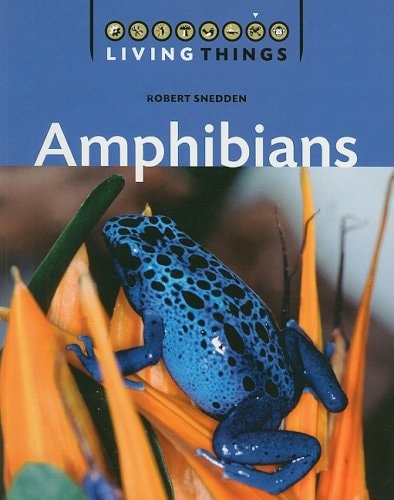 Edition published by Black Rabbit Books