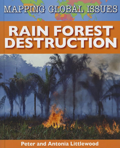 Rain Forest Destruction