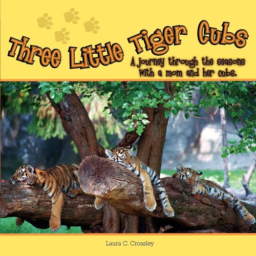 Three Little Tiger Cubs A Photographic Journey Through the Seasons with a Mom and Her Cubs