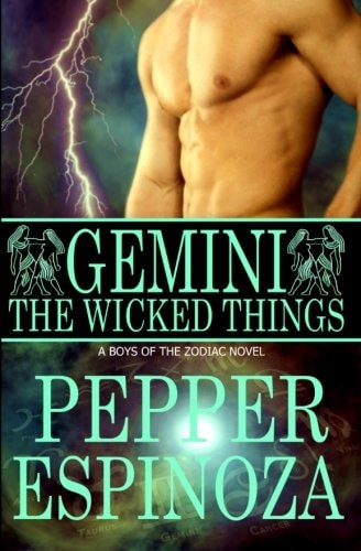 (Boys of the Zodiac) Gemini The Wicked Things