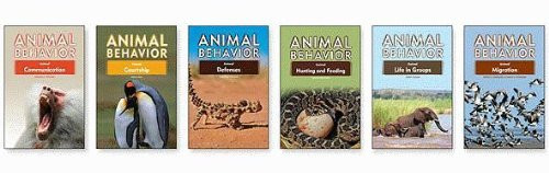Animal Behavior Set