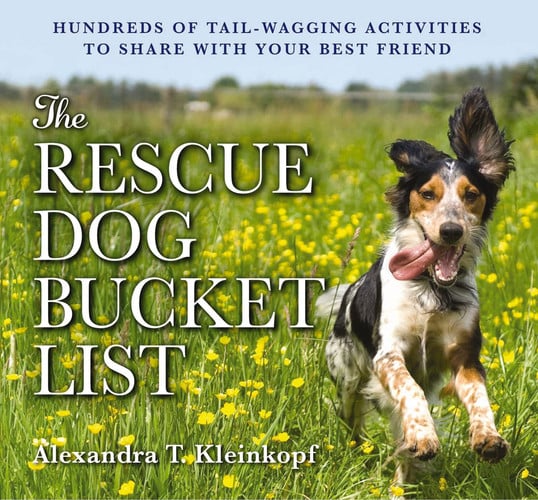 The rescue dog bucket list