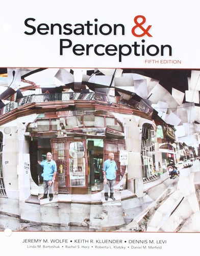 Sensation and Perception