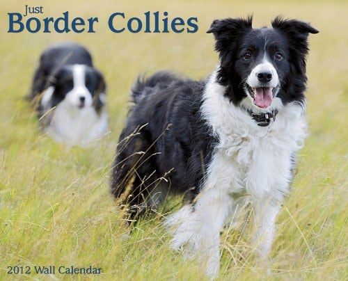 Border Collies 2012 Calendar