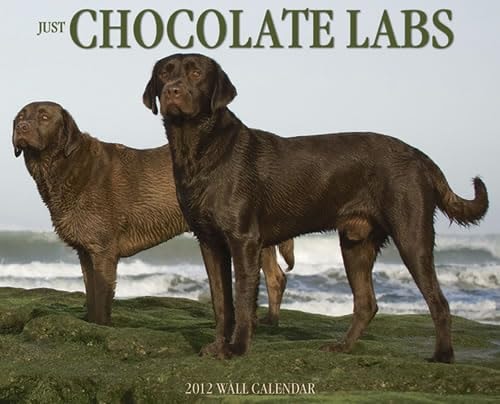 Chocolate Labs 2012 Calendar