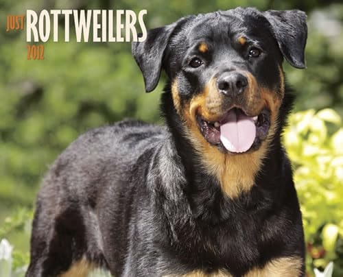 Just Rottweilers 2012 Calendar