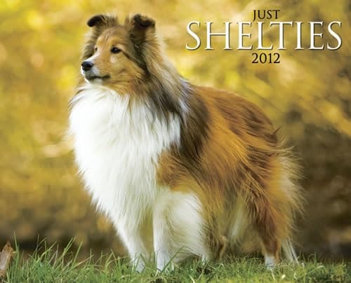 Shelties 2012 Calendar